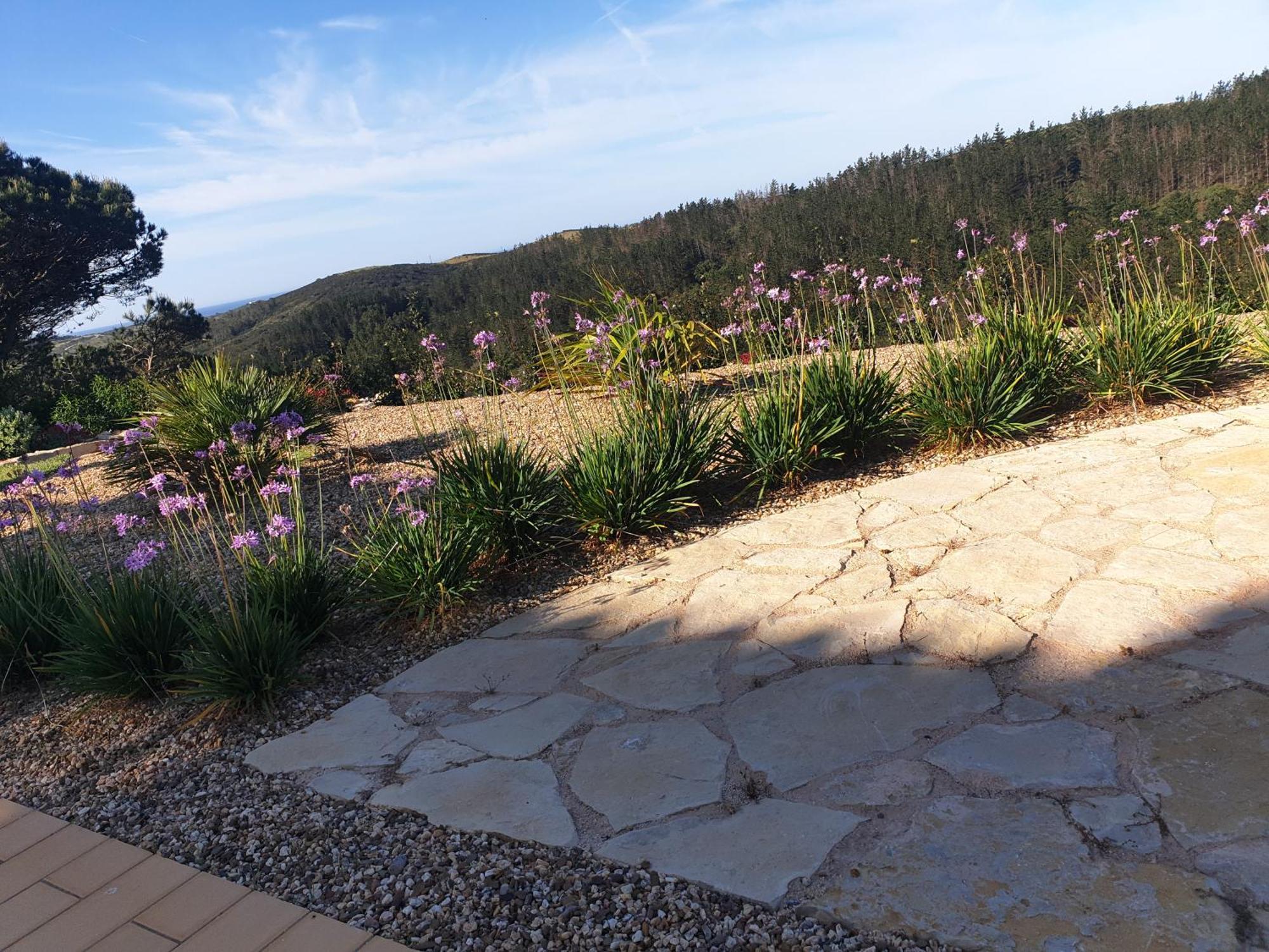 Stunning Villa With Pool & View Near Beach Budens Eksteriør billede
